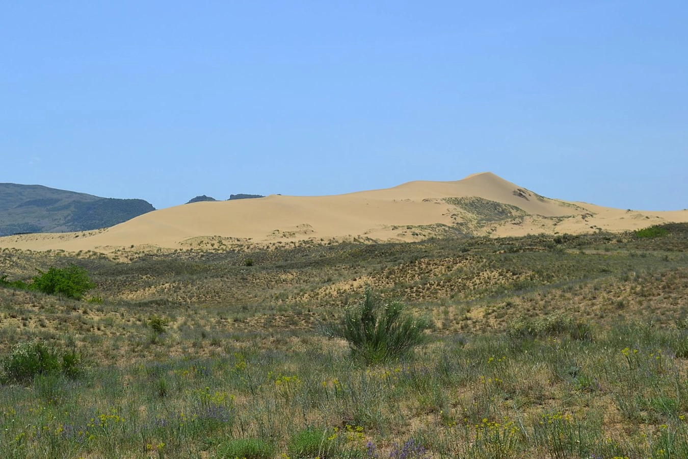 Dunes de Sarykum, Russie