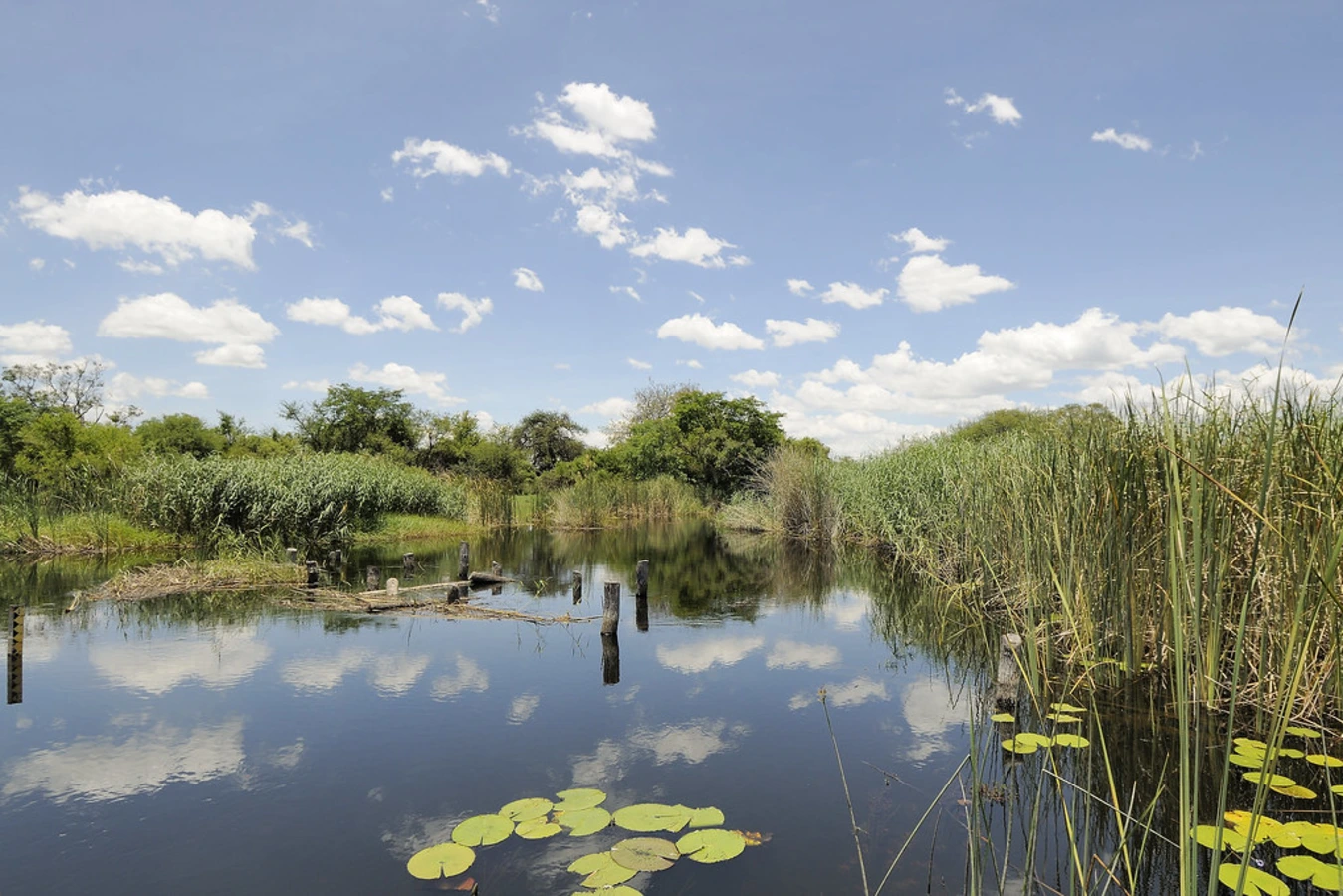 Parc national de Nkasa Rupara, Namibie