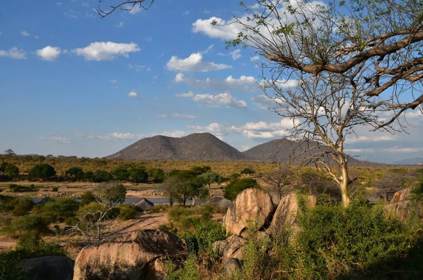 Parc national de Ruaha, Tanzanie