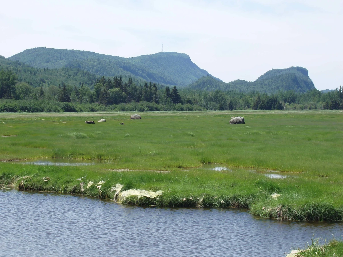 Pic Champlain, Canada