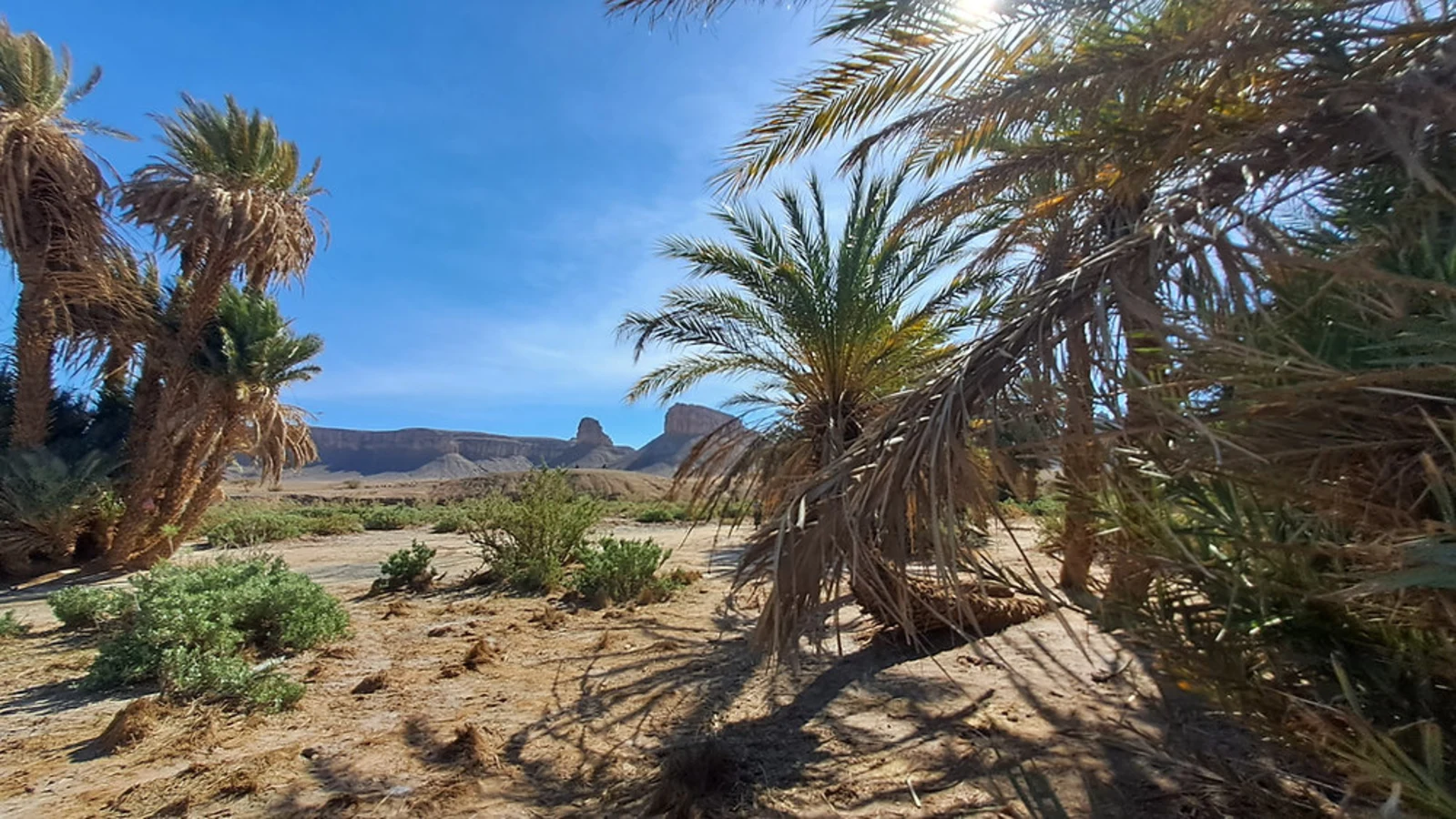 Parc national d'Iriqui, Maroc