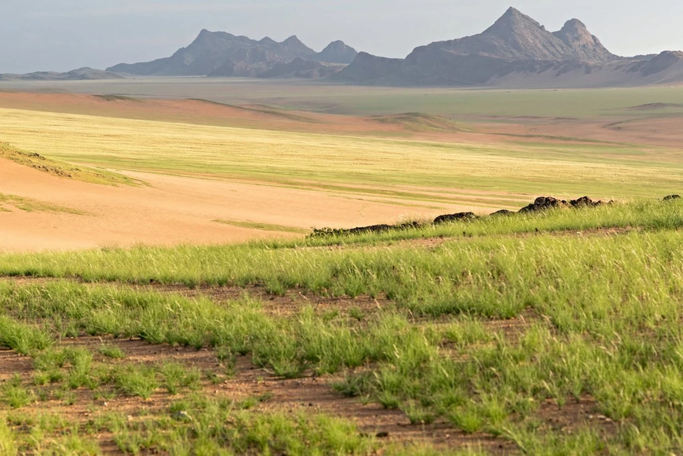 Hartmann Valley, Namibie