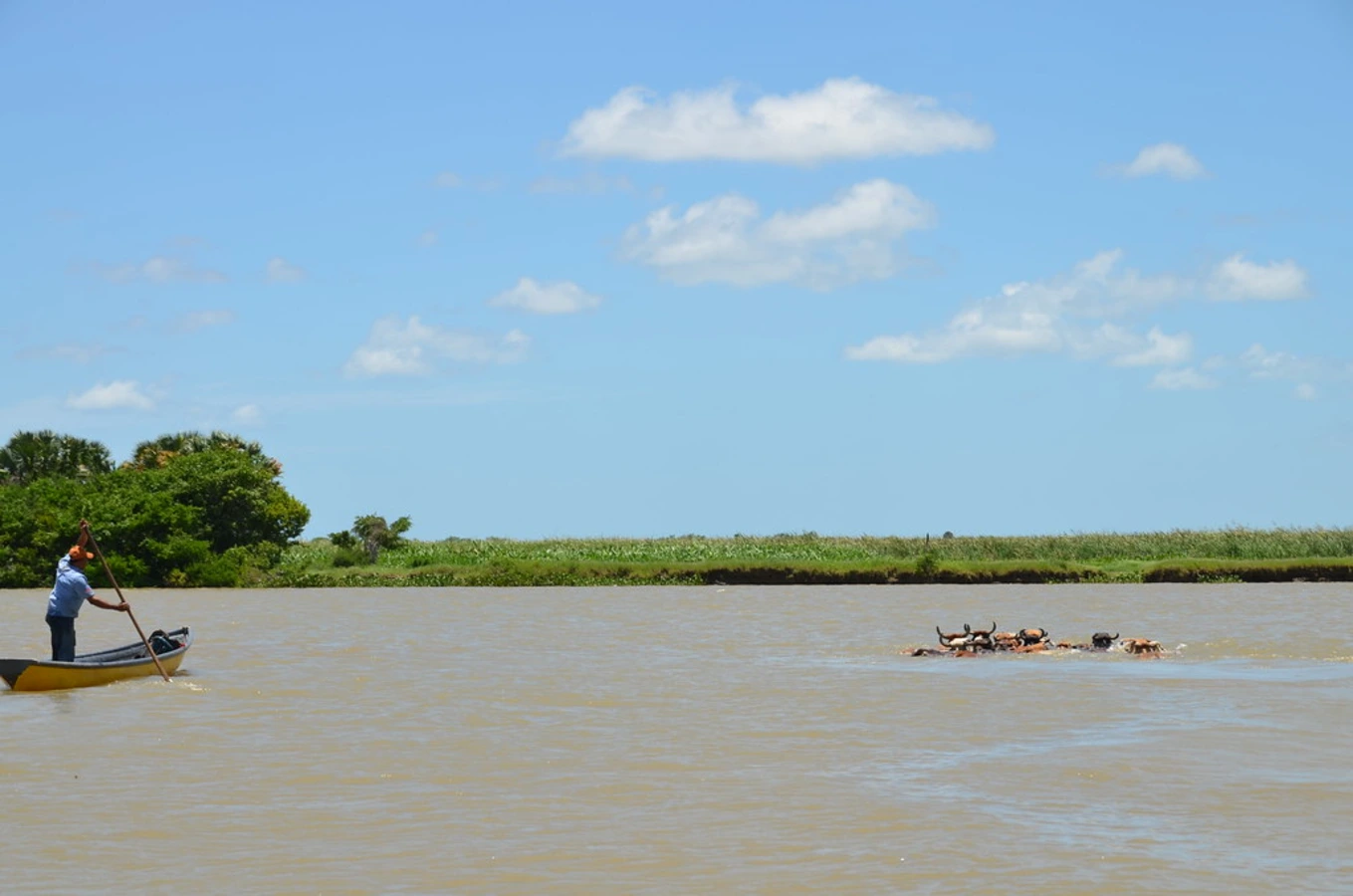 Pantanos de Centla, Mexique