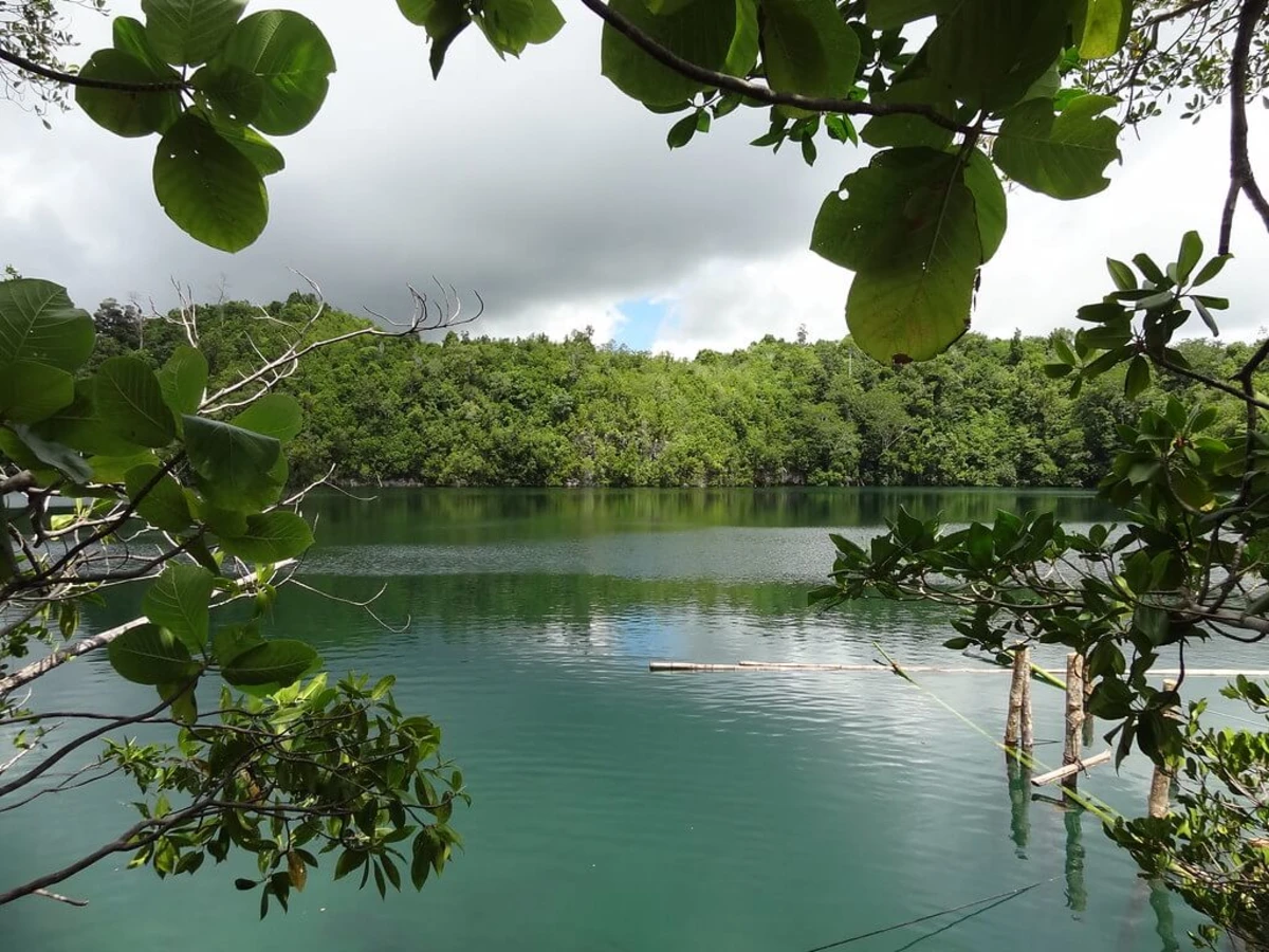 Lac aux Méduses, Palaos