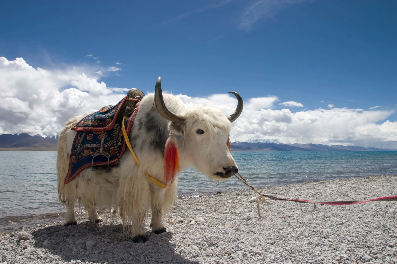 Lac Namtso, Chine