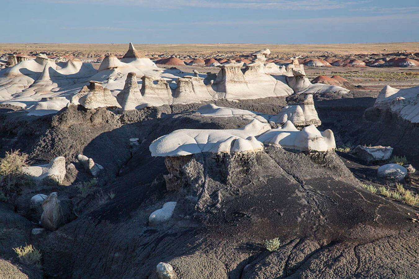 Bisti/De-Na-Zin Wilderness, États-Unis