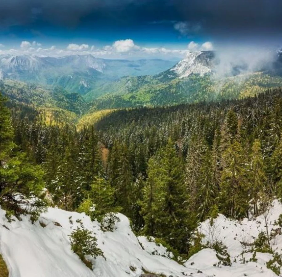 Perucica, Bosnie-Herzégovine