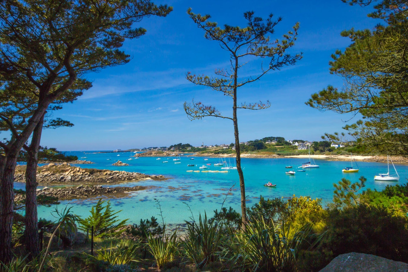 Île-de-Batz, France