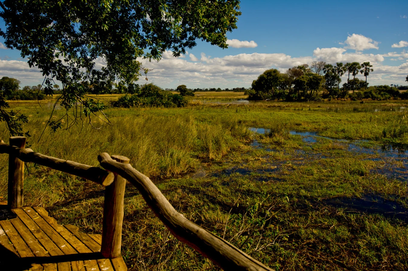 Delta de l'Okavango, Botswana