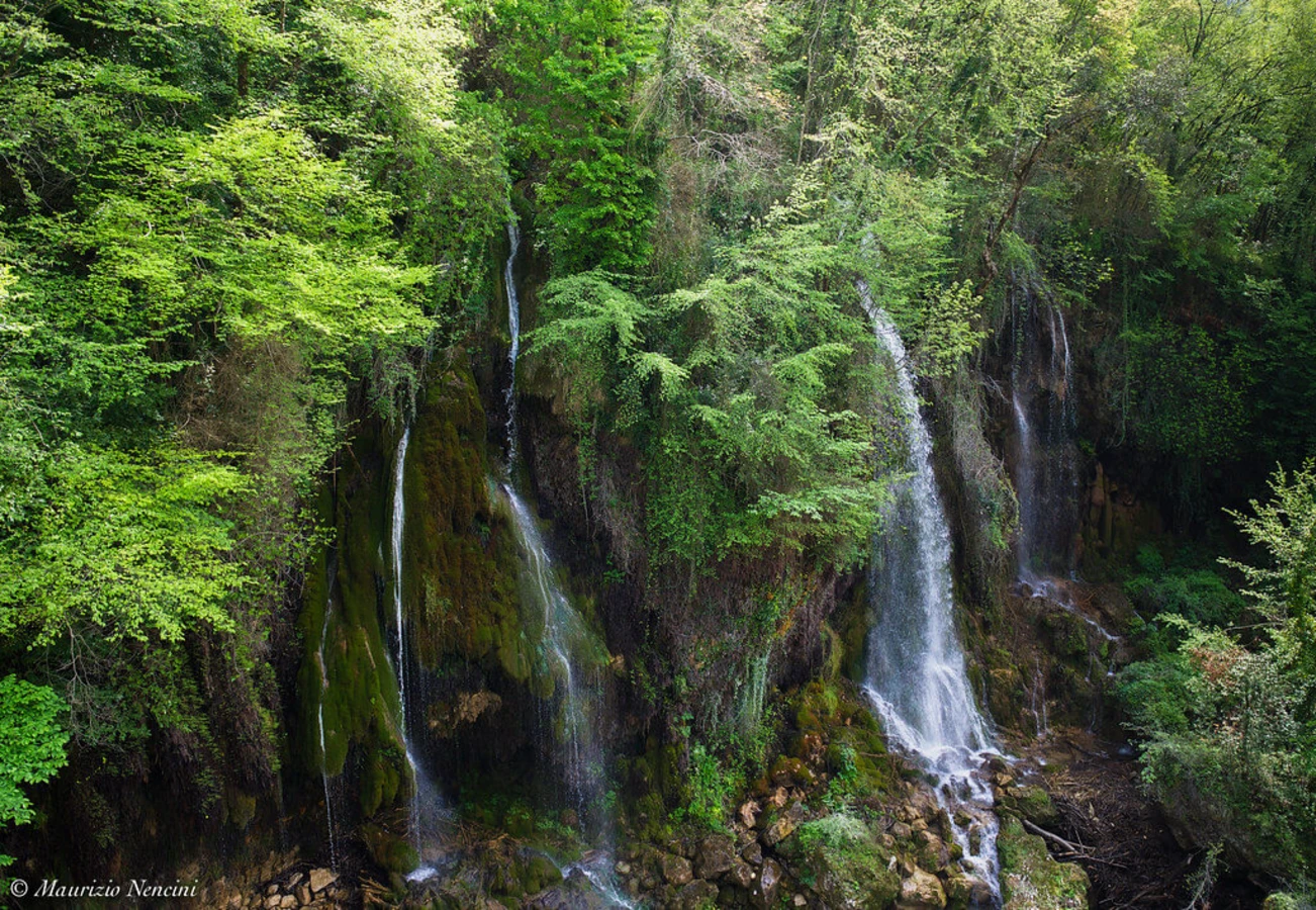 Cascades du Saut du Loup, France