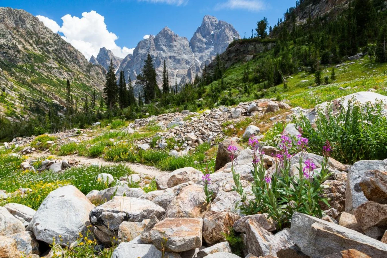 Paintbrush Canyon, États-Unis