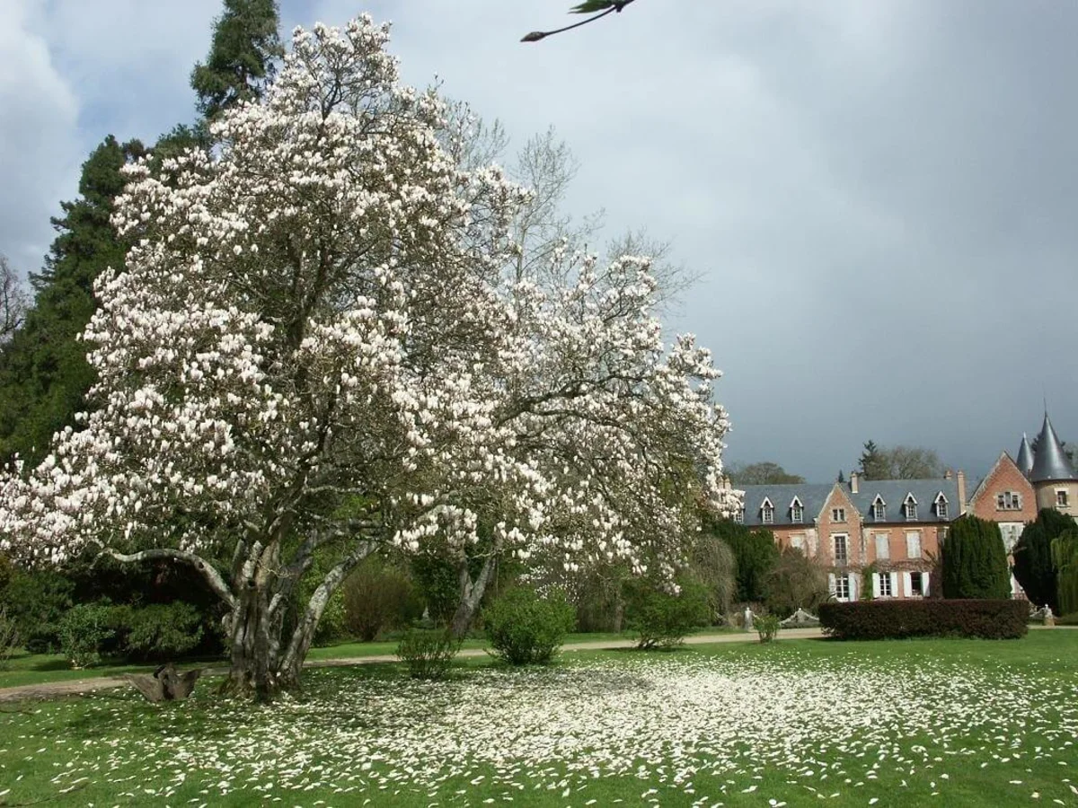 Arboretum de Balaine, France