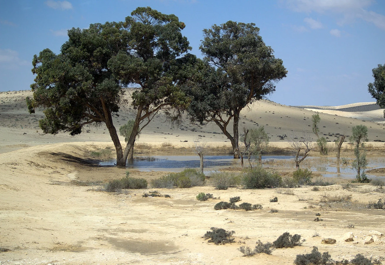 Désert du Néguev, Israël