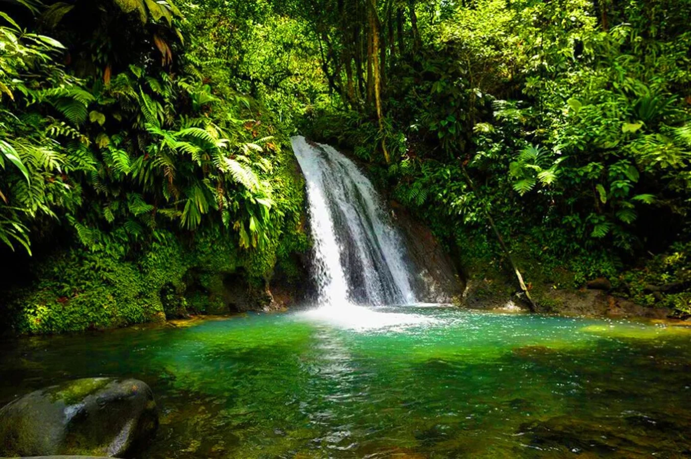 Cascade aux écrevisses, Guadeloupe