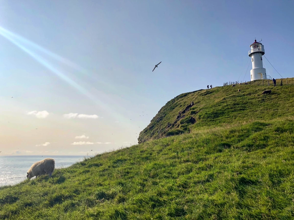 Phare de Mykinesholmur, Îles Féroé