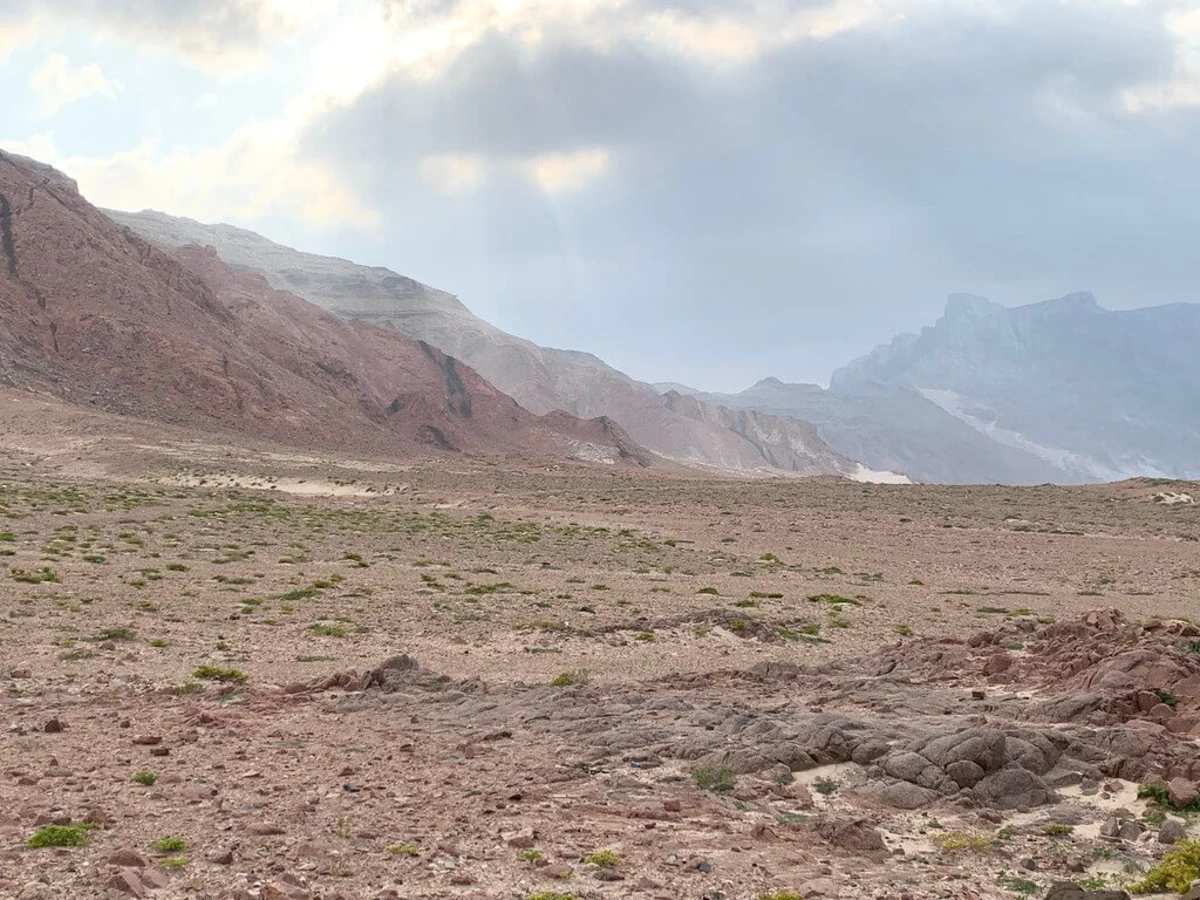 Ras Erisel, Yémen, Socotra