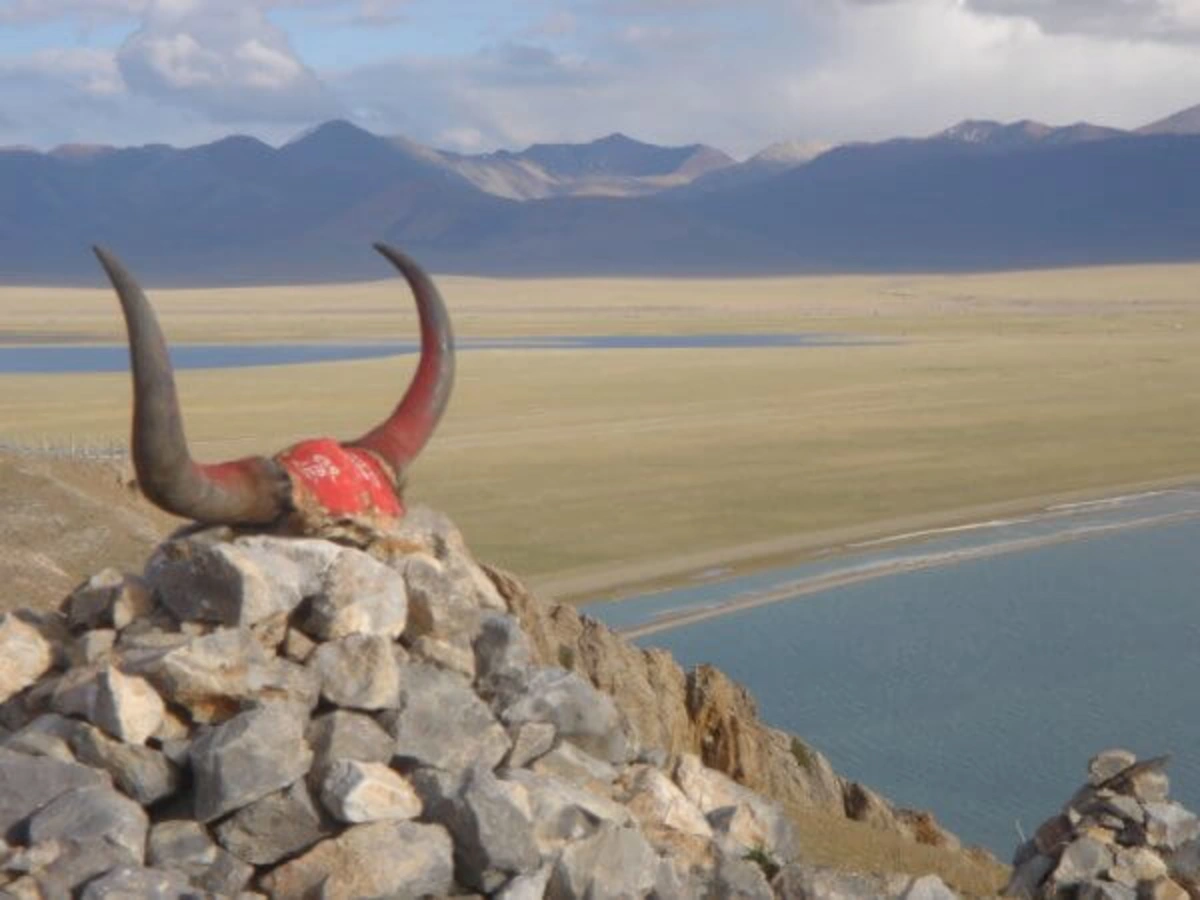 Tashi Dor, Chine
