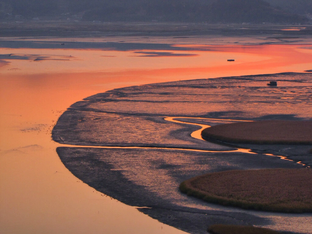 Baie de Suncheon, Corée du Sud
