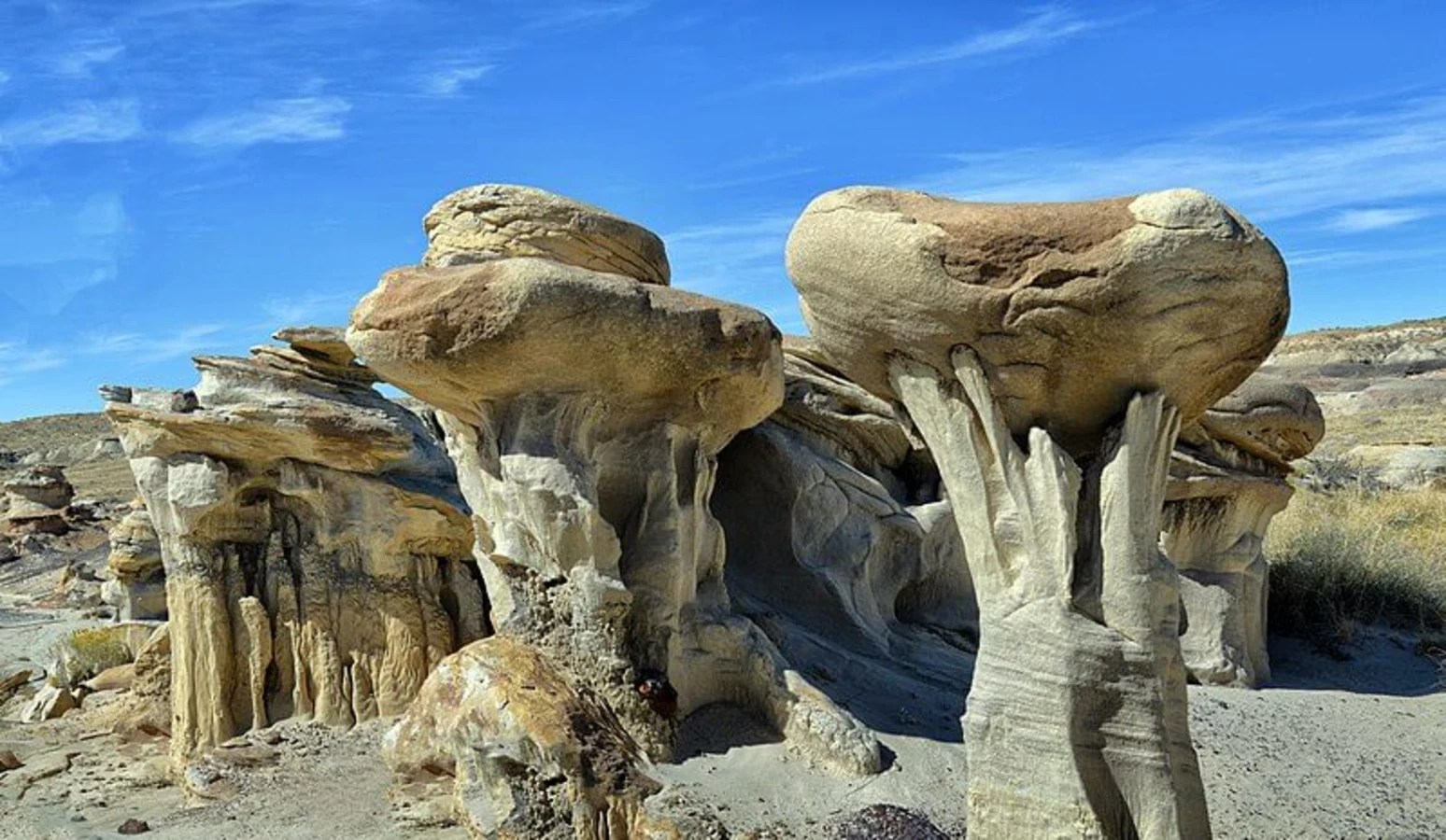 Bisti/De-Na-Zin Wilderness, États-Unis