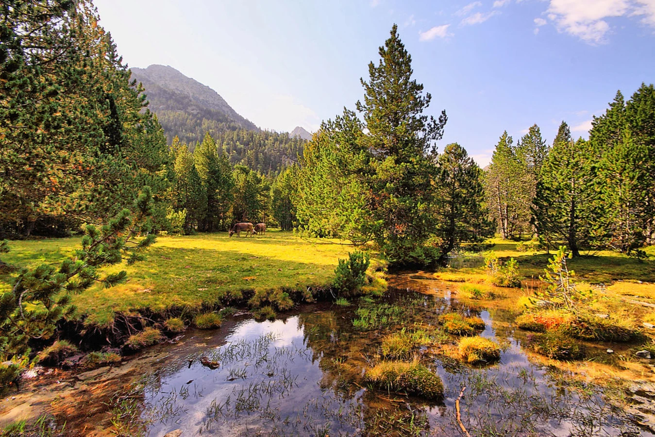 Estany Llong, Espagne