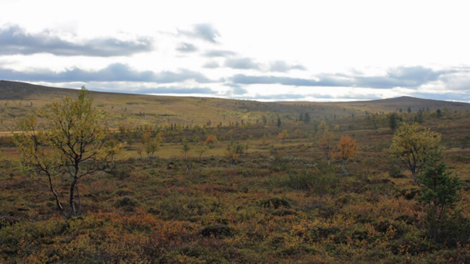Hammastunturi Wilderness Area, Finlande