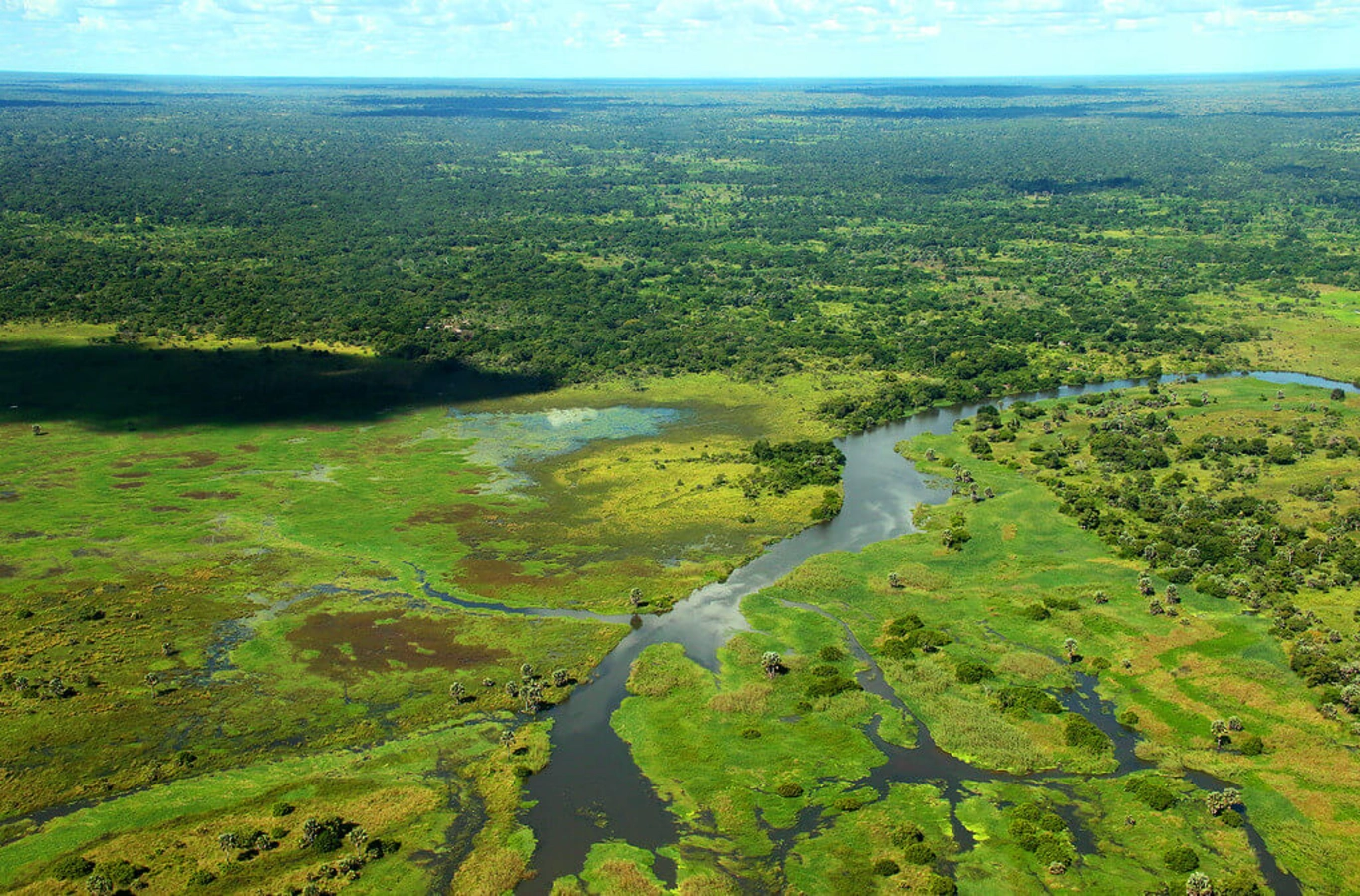 Parc national de Gorongosa, Mozambique