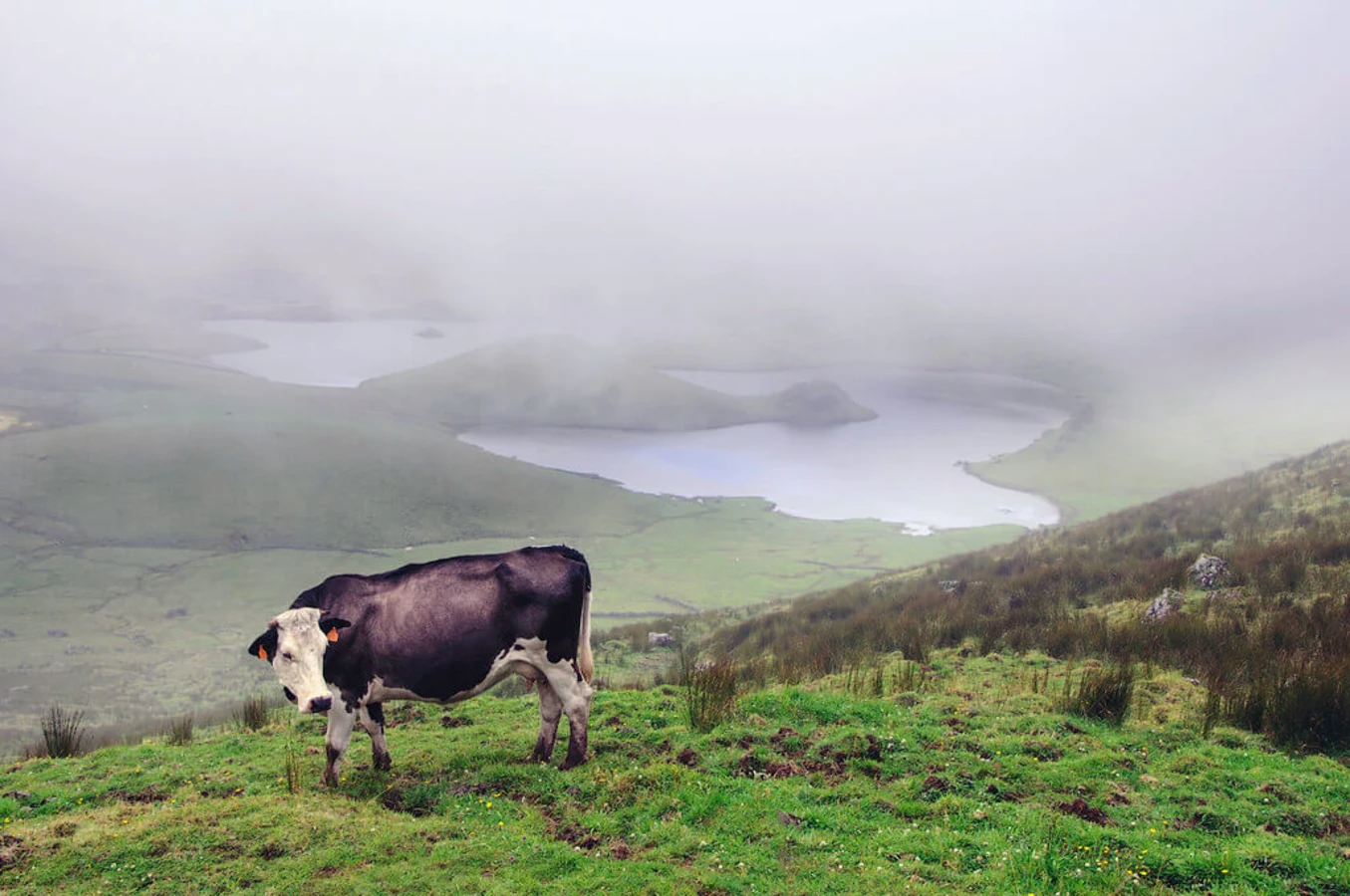 Caldeira de Corvo, Portugal, Açores