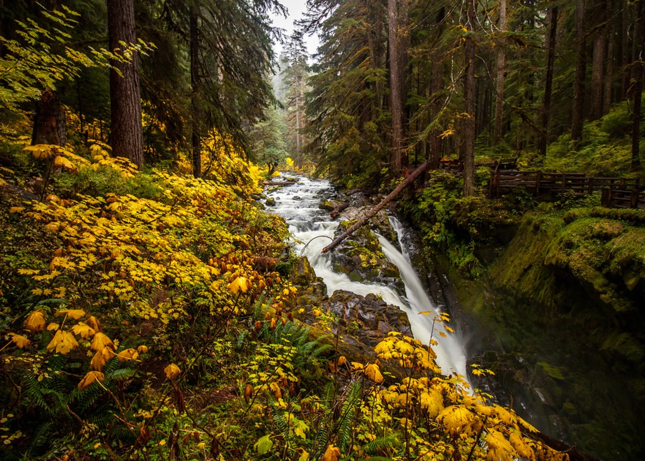 Sol Duc Valley, États-Unis