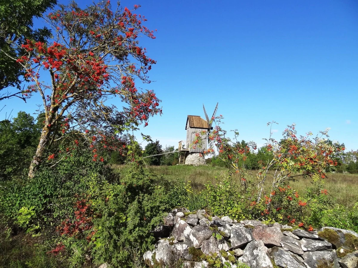 Koguva, Estonie