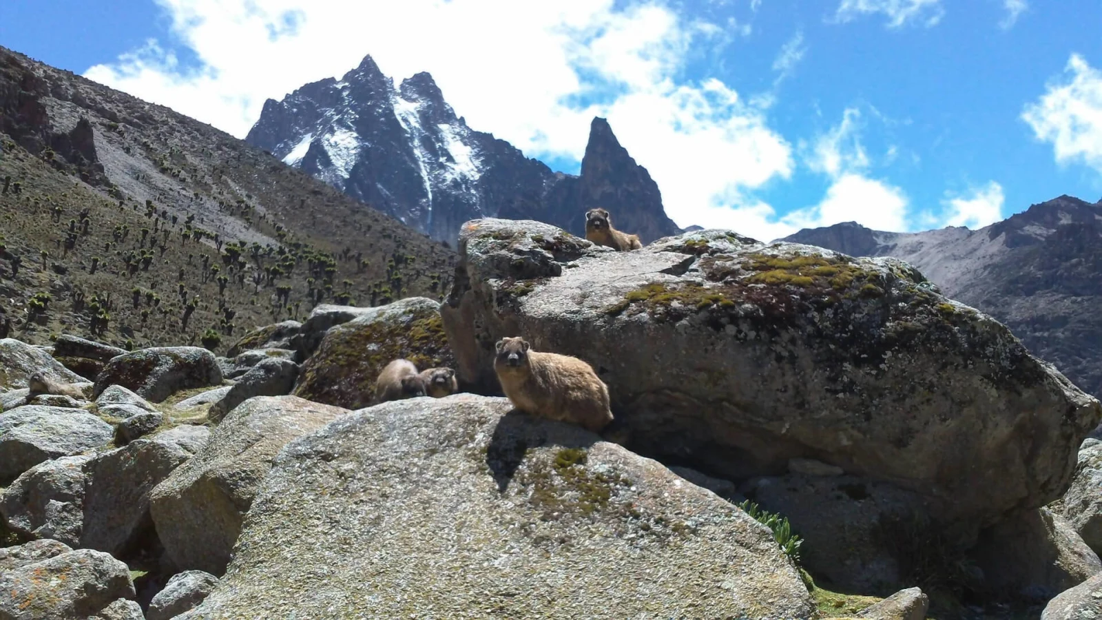 Mont Kenya, Kenya, Kenya