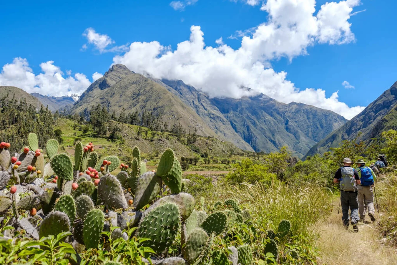 Chemin de l'Inca, Pérou