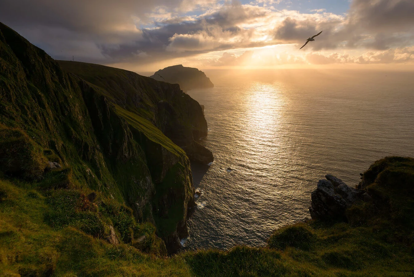 Soay, Écosse