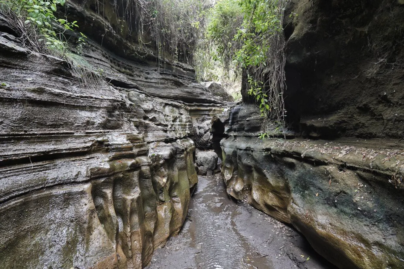 Parc national de Hell's Gate, Kenya