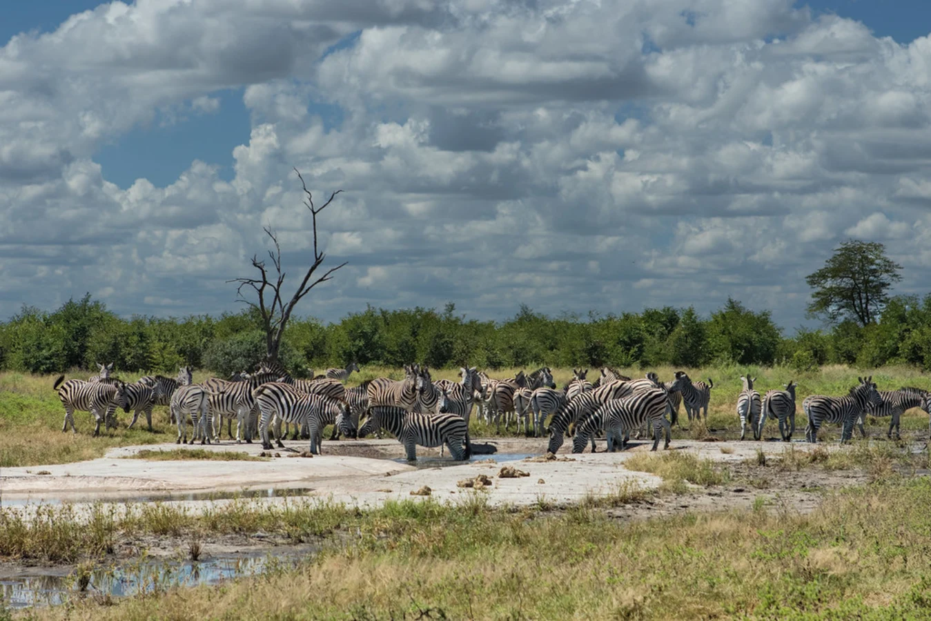 Canal de Savuti, Botswana