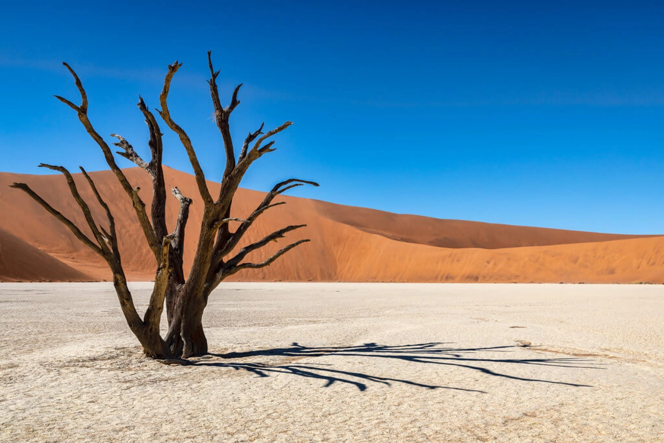 Dead Vlei, Namibie