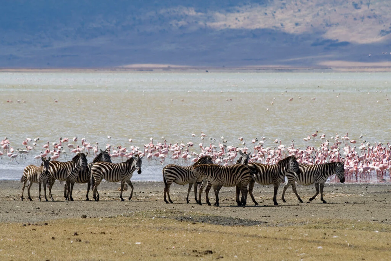 Lac Magadi, Kenya