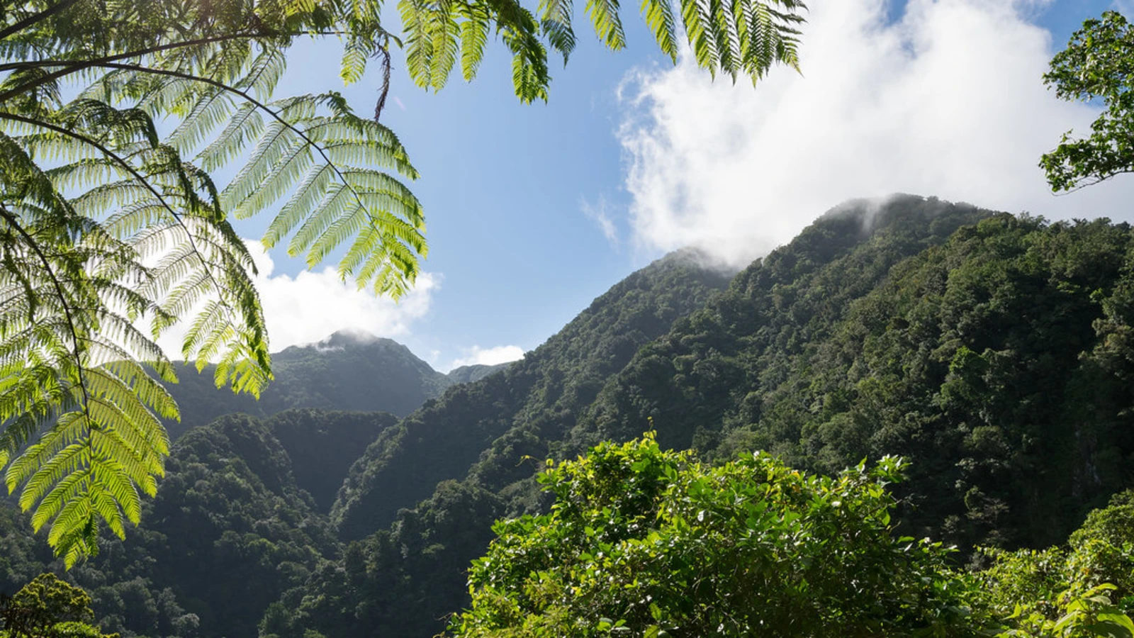Waitukubuli National Trail, Dominique