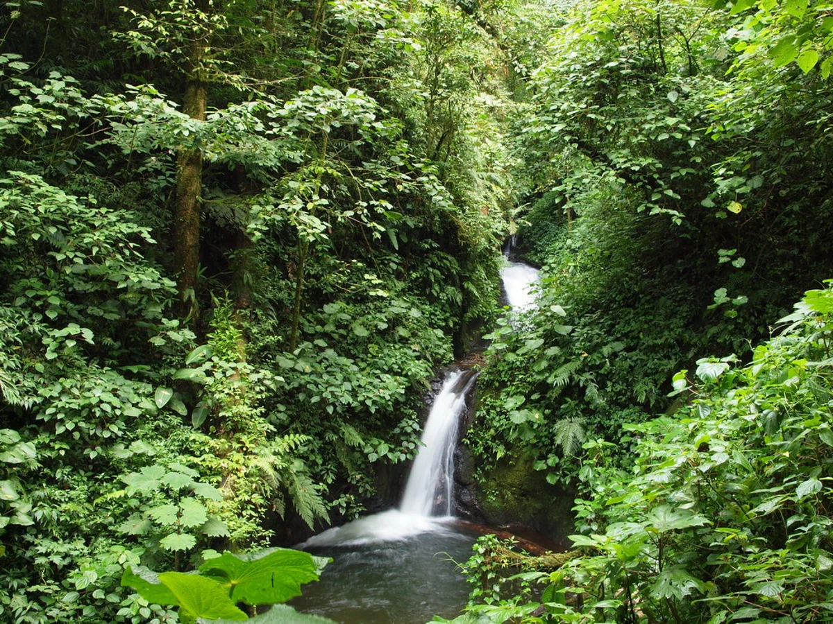 Réserve biologique de Monteverde, Costa Rica, Costa Rica