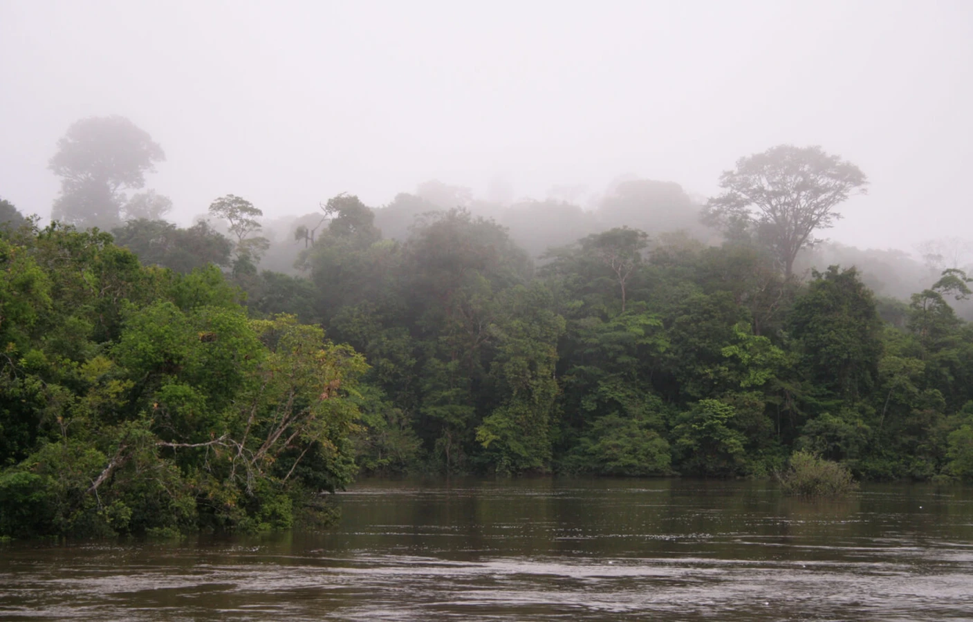 Réserve naturelle du Suriname central, Suriname