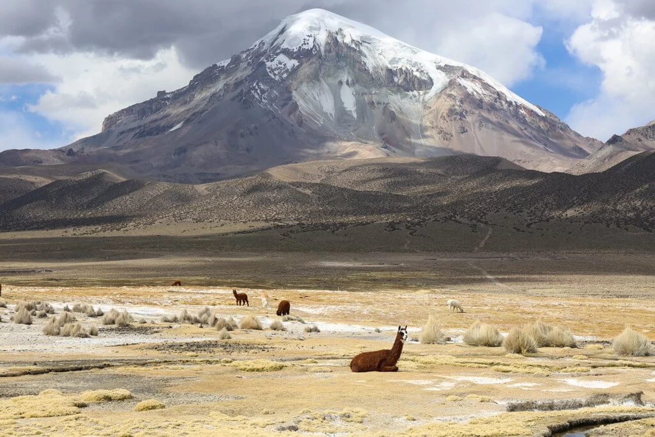 Nevado Sajama, Bolivie