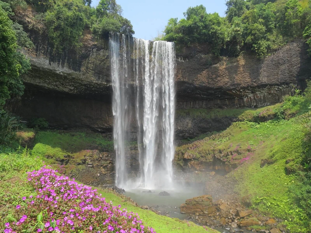 Plateau des Bolovens, Laos