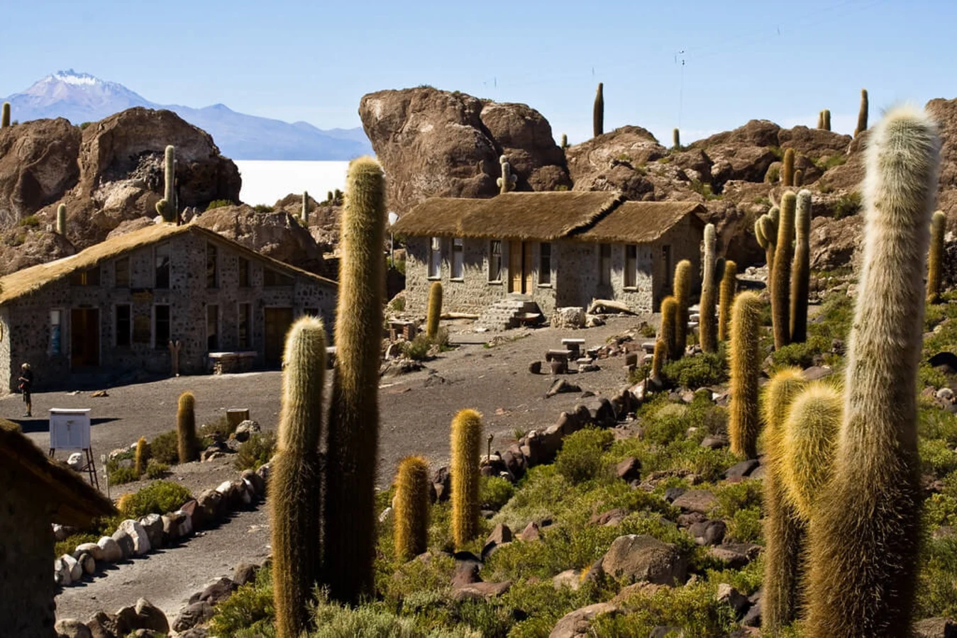Isla del Pescado, Bolivie
