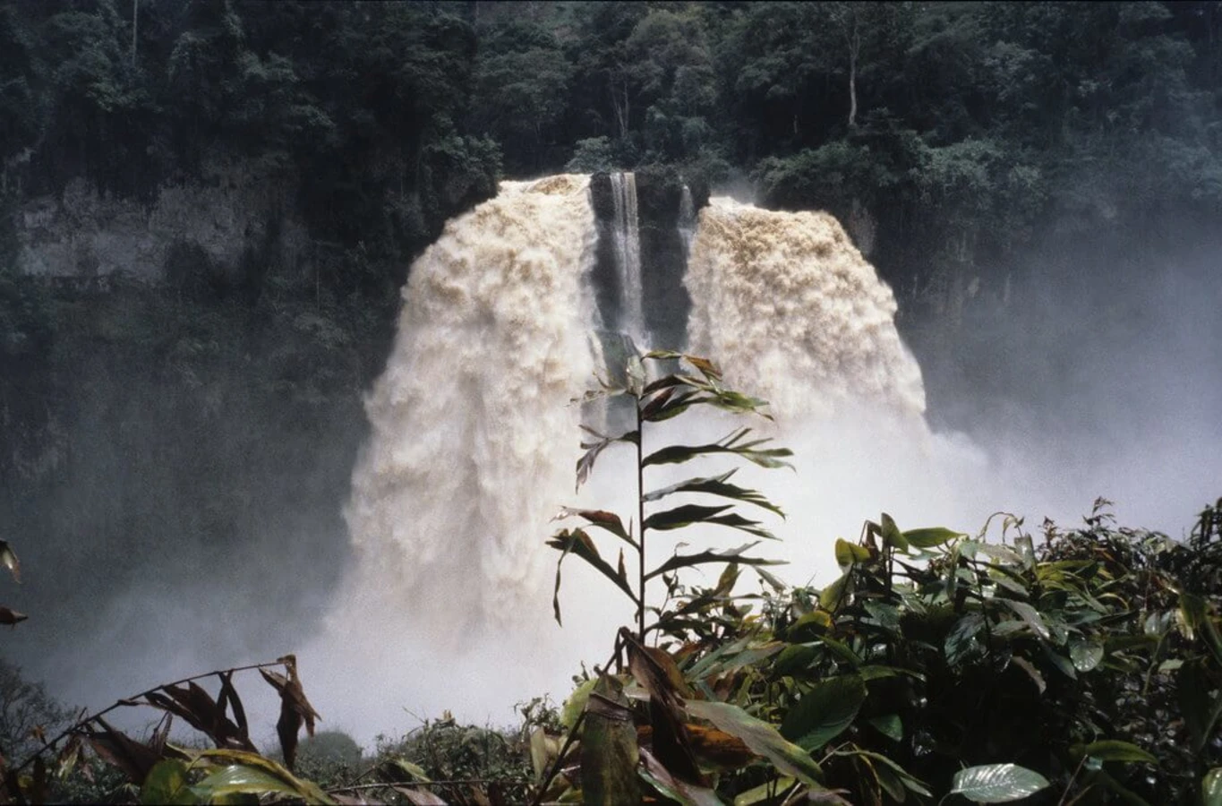 Chutes d'Ekom, Cameroun