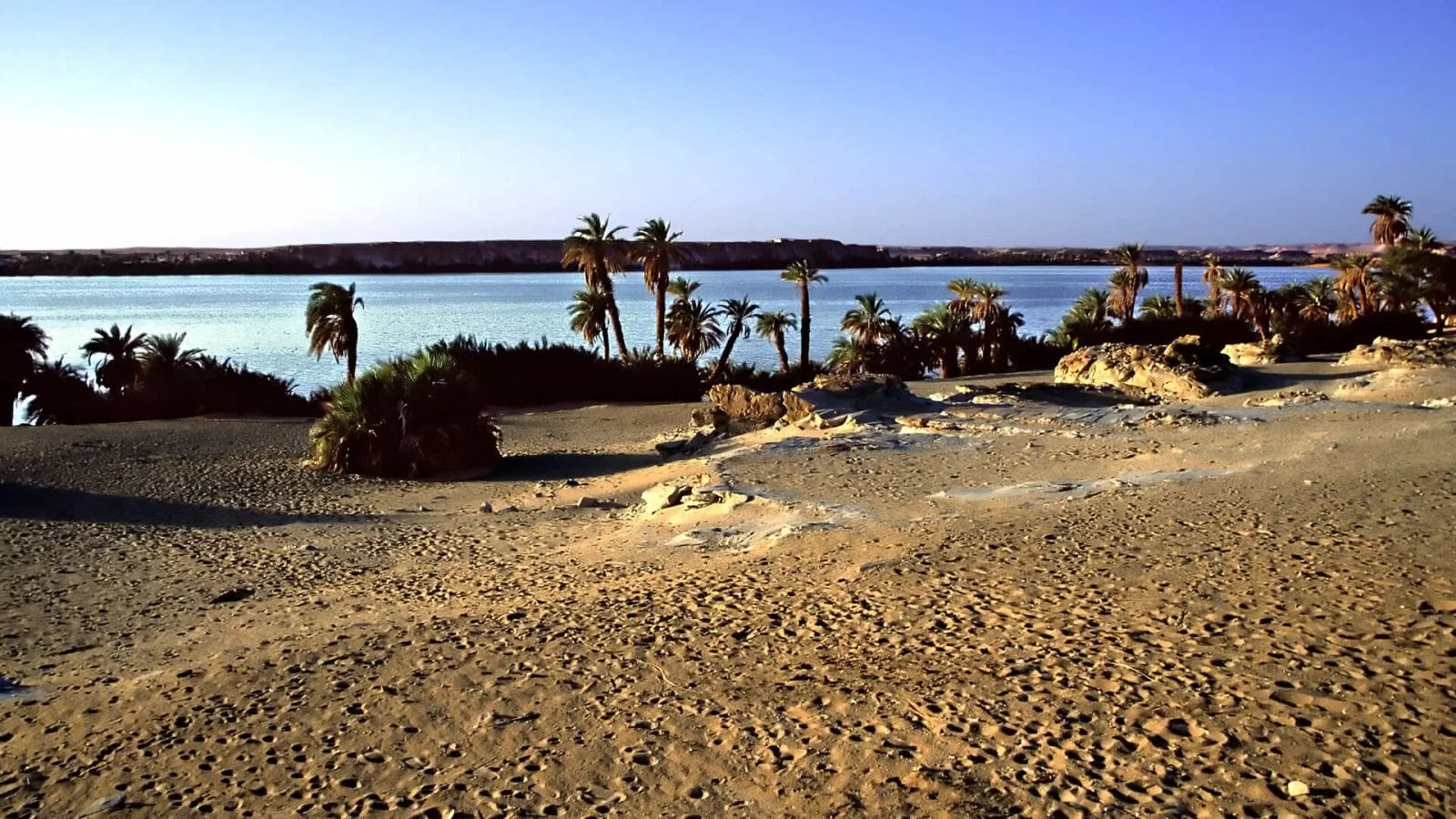 Lac Yoa, Tchad