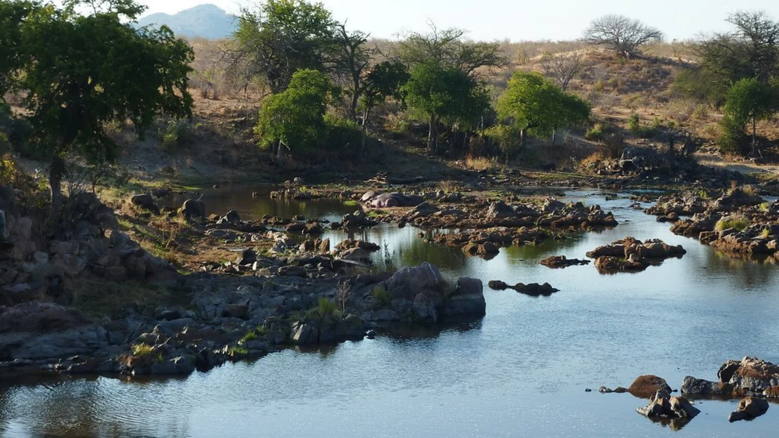 Ruaha, Tanzanie, Tanzanie