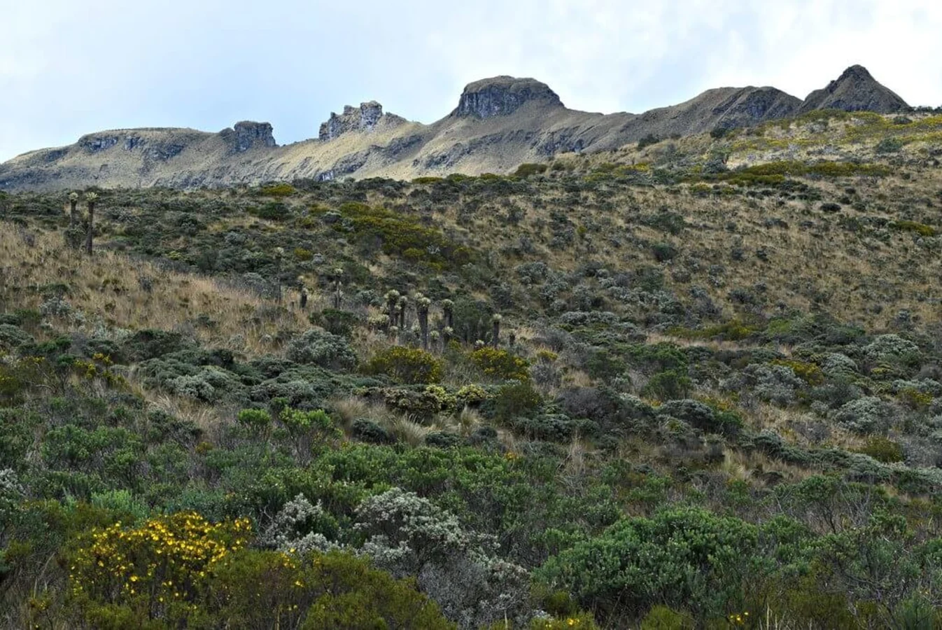 Parc national naturel de Los Nevados, Colombie, Colombie, Colombie, Colombie