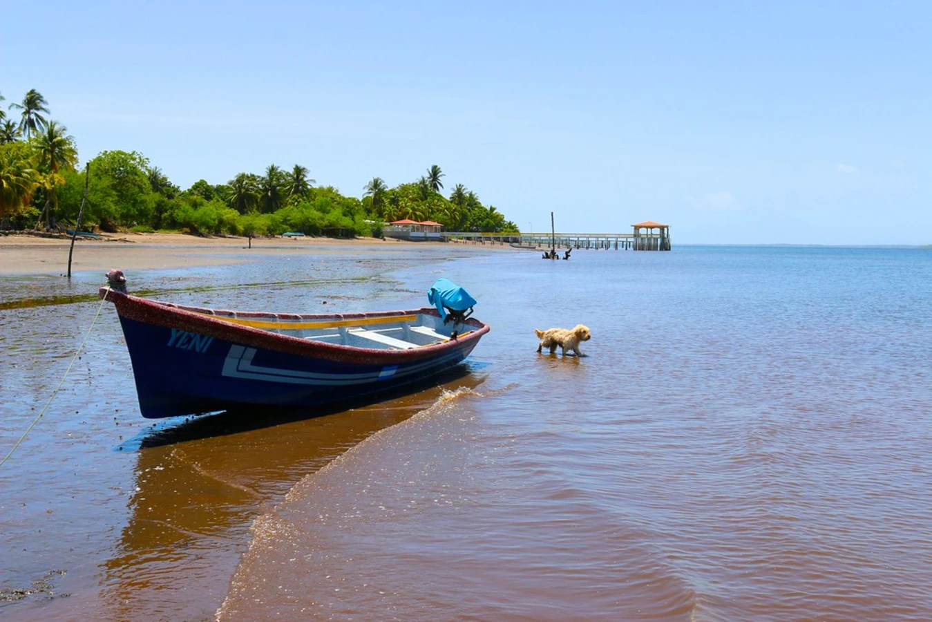 Baie de Jiquilisco, Salvador