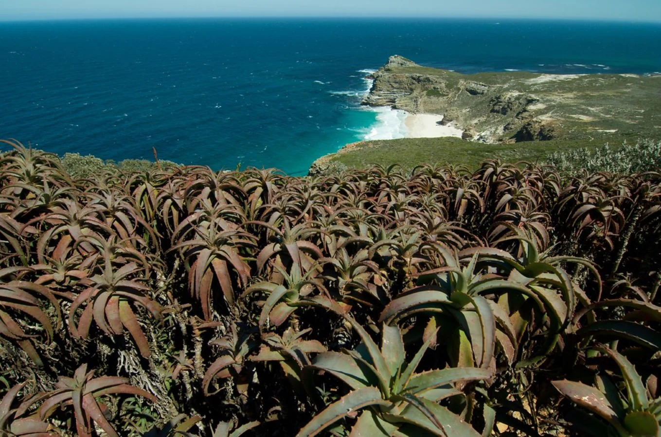 Diaz Beach, Afrique du Sud