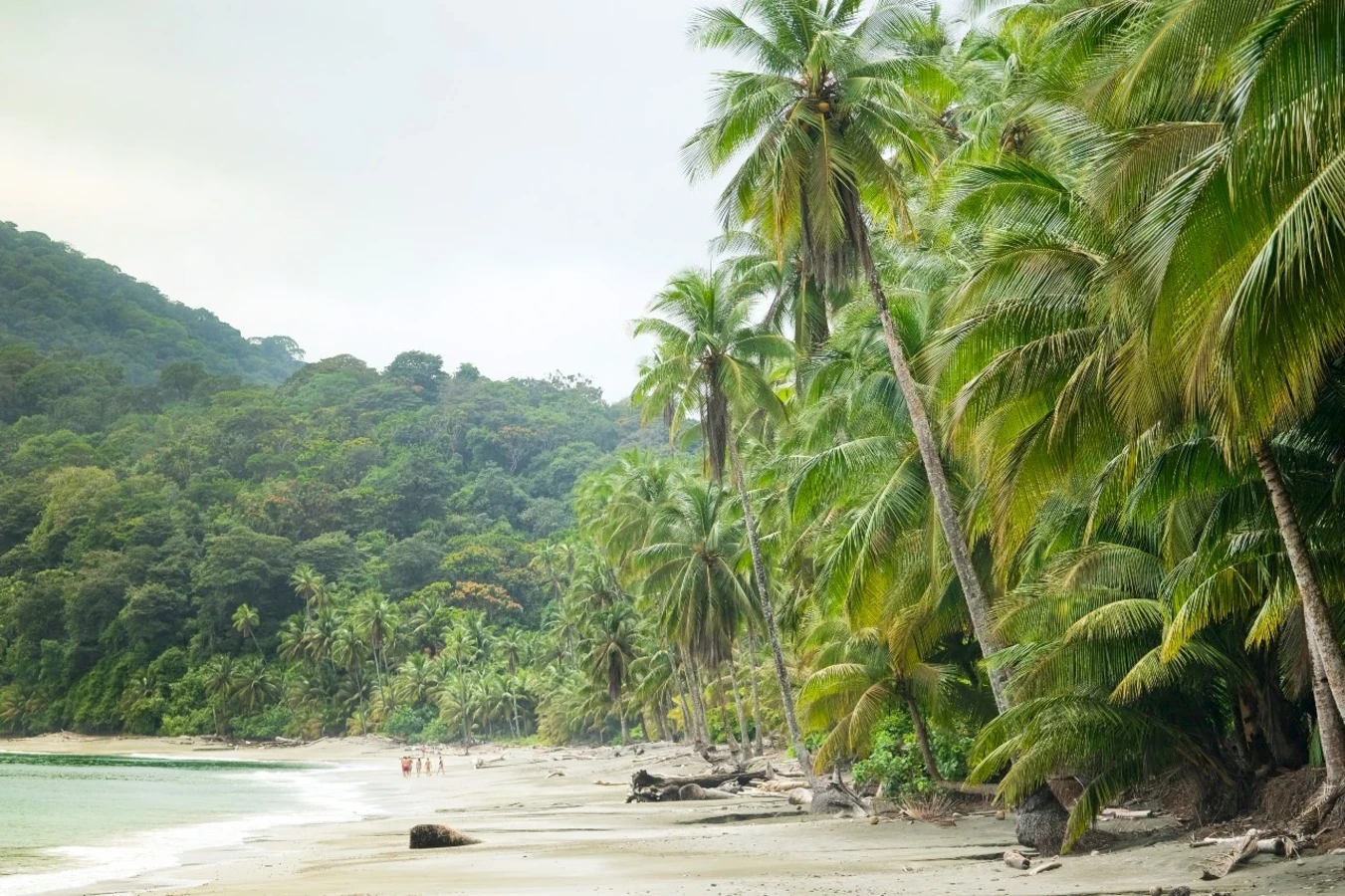 Île Gorgona, Colombie