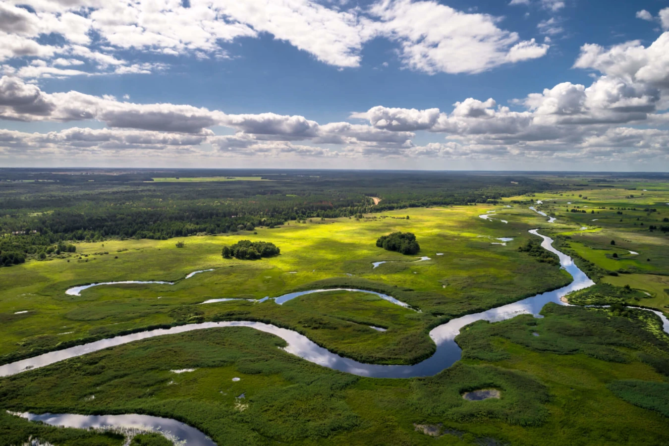 Parc national de la Biebrza, Pologne